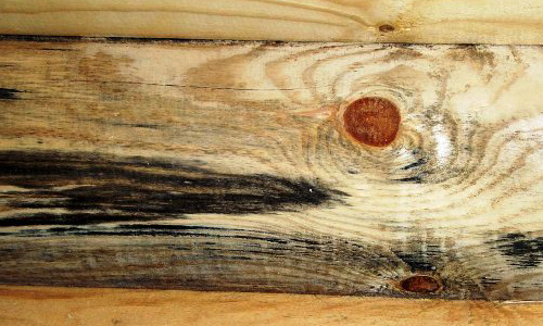 Химическое окрашивание древесины черным цветом