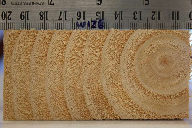 Как связаны плотность и твердость древесины
