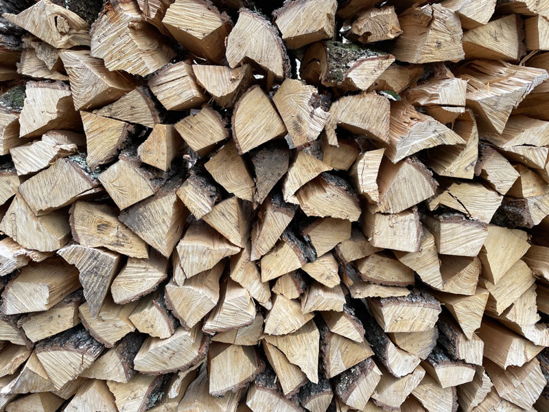 Береза: свойства древесины и ее применение